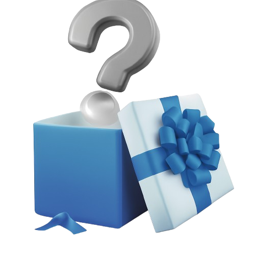 Mystery Gift Box